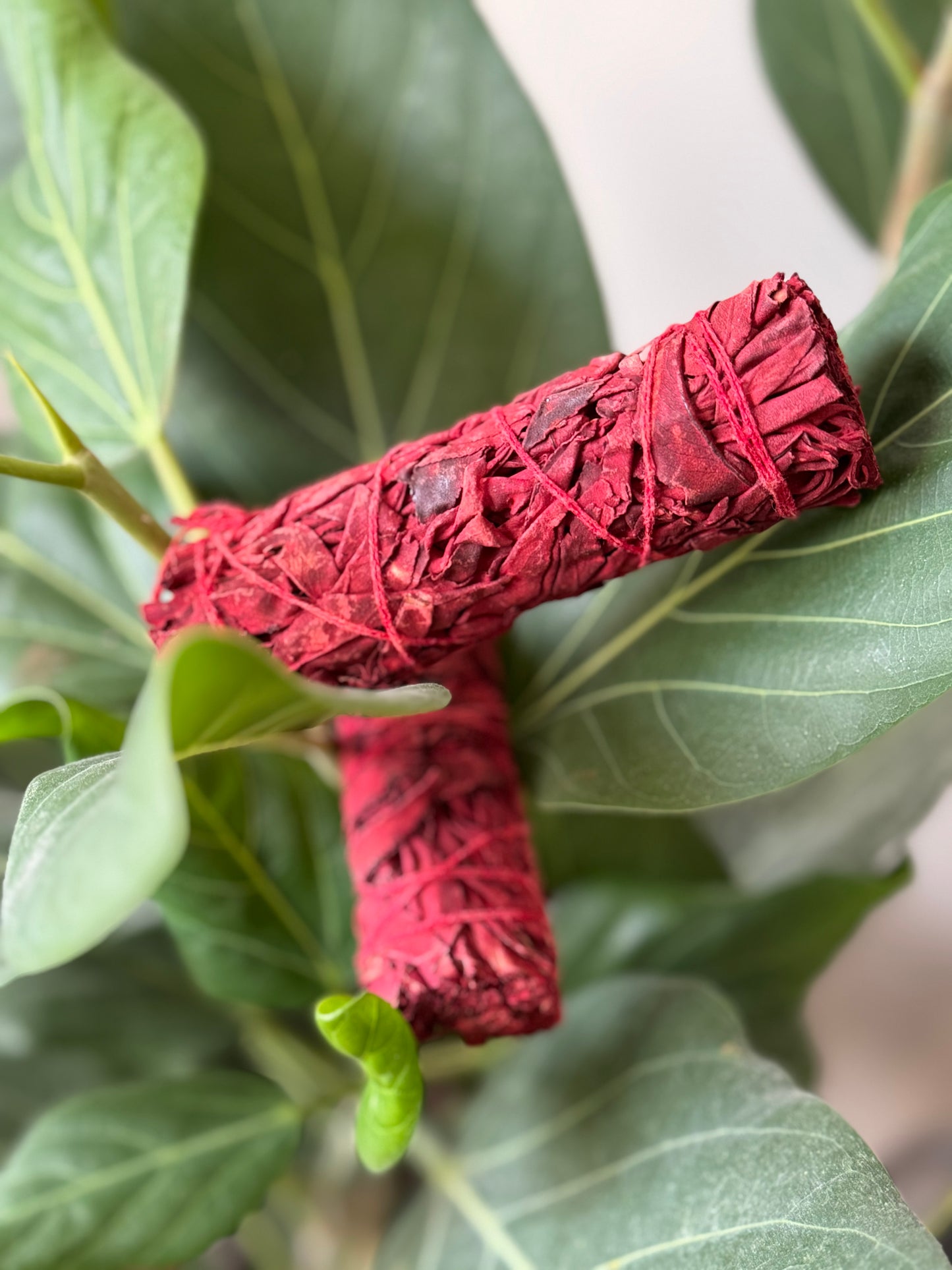 Dragon’s Blood Smudge Bundles