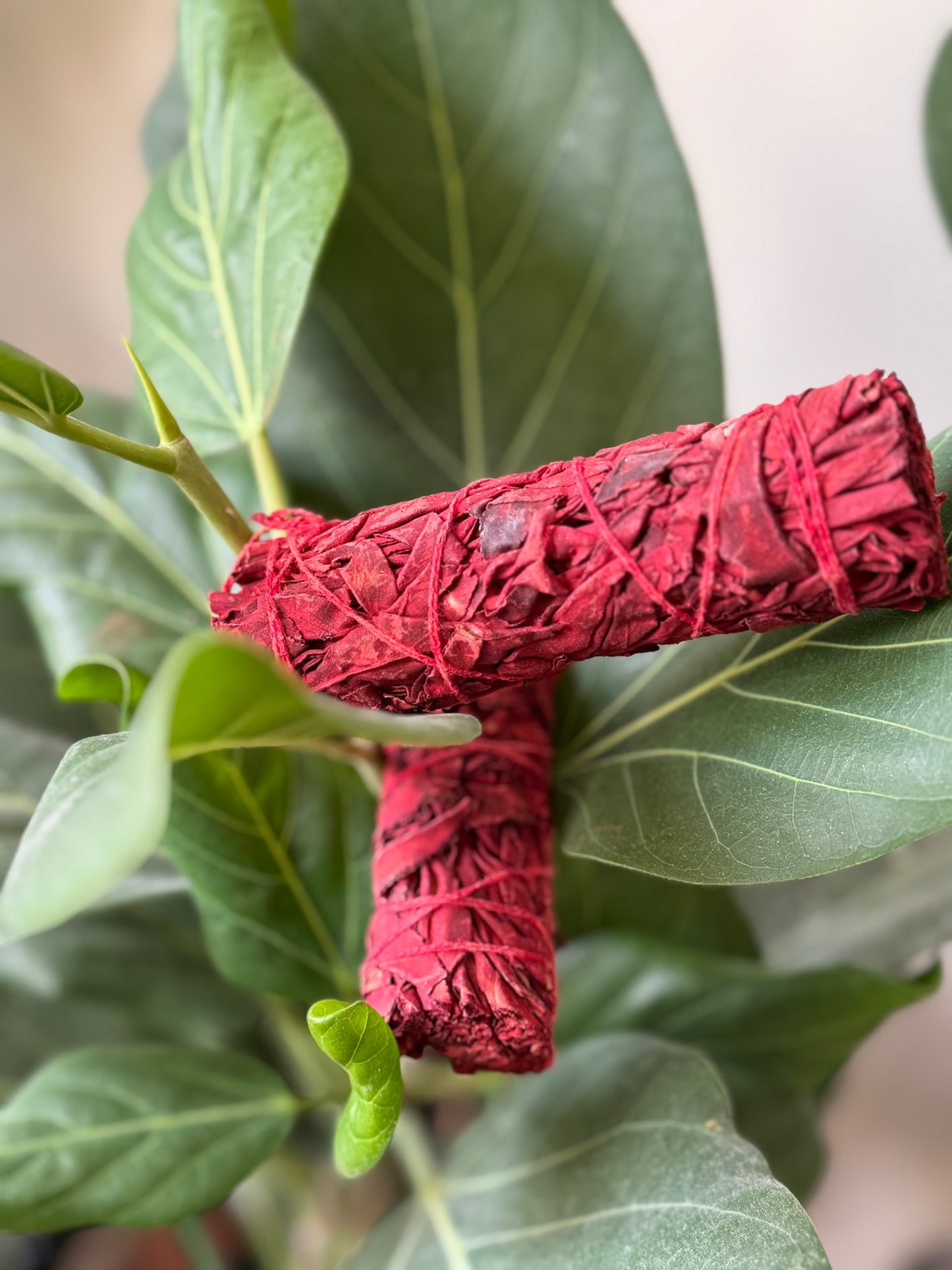 Dragon’s Blood Smudge Bundles