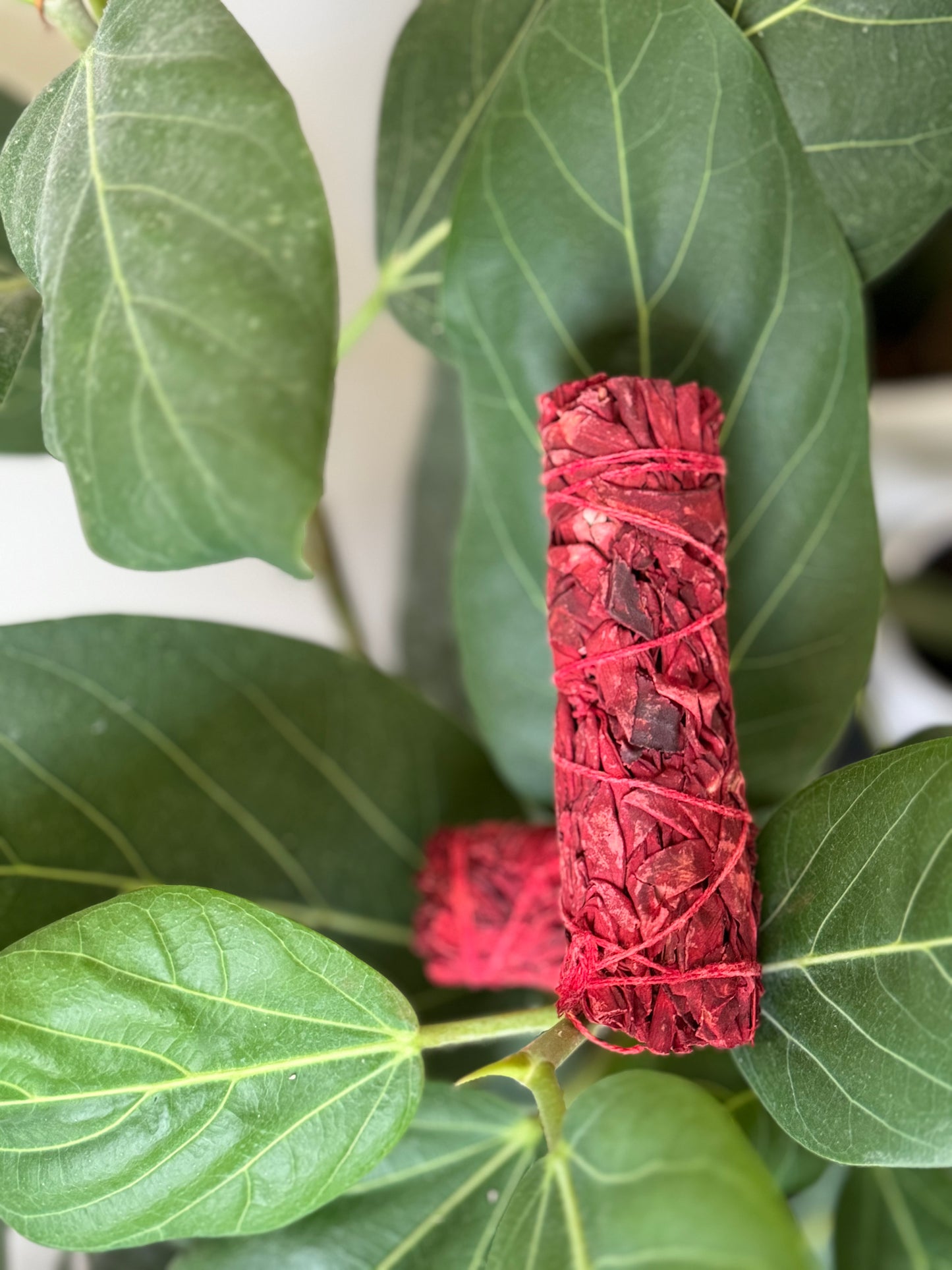 Dragon’s Blood Smudge Bundles
