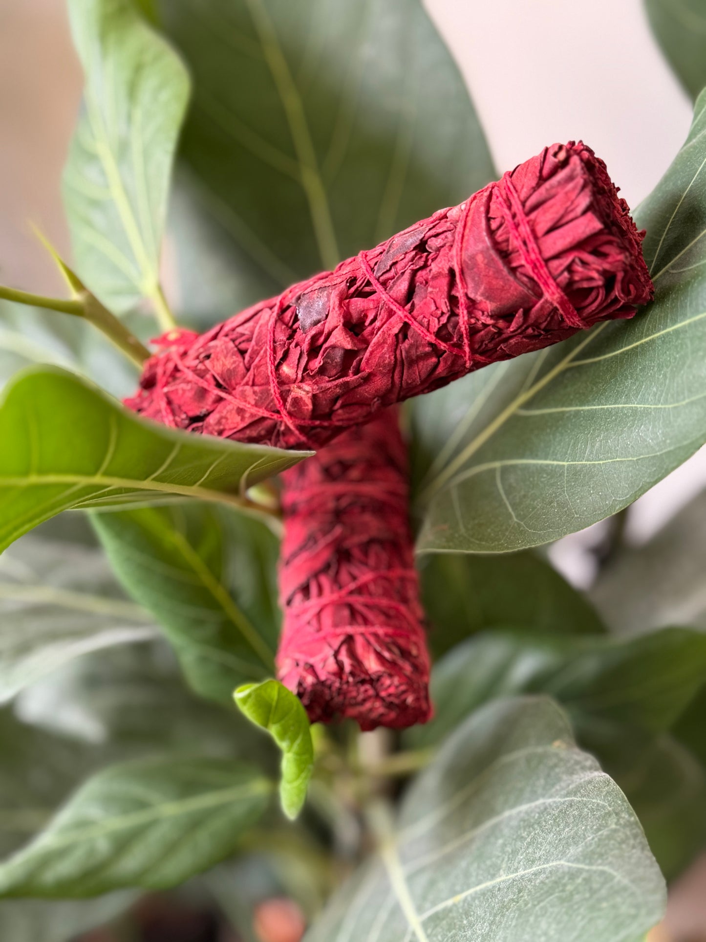 Dragon’s Blood Smudge Bundles