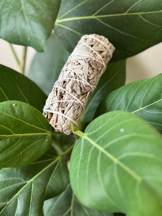 White Sage Smudge Sticks